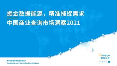 中國商業查詢市場 社會經濟咨詢服務的機遇與前景